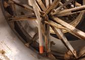 Molcon Molcon 13.6X38 5D34