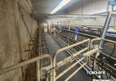 DeLaval DELAVAL Swingover 2x20